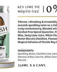 Key Lime Mojito Fizz Flavour Description