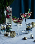COCKTAIL GIFT BOX | 5% Alc Vol x 12 Cans