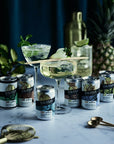 COCKTAIL GIFT BOX | 5% Alc Vol x 12 Cans