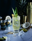 COCKTAIL GIFT BOX | 5% Alc Vol x 12 Cans