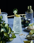 BRAZILIAN LIME MARGARITA FIZZ | 0% Alc Vol