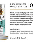 Brazilian Lime Margarita Fizz Flavour Description