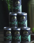KEY LIME PIE MOJITO FIZZ | 5% Alc Vol x 12 Cans