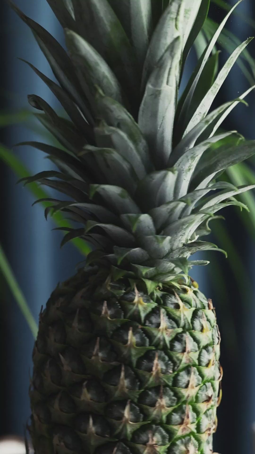 PINA COLADA SPRITZ, 5% ABV, 150ML